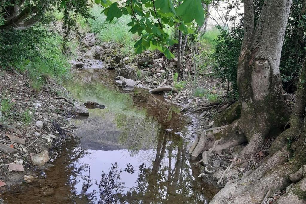 Studio Tout Confort Dans Maison De Caractere La Bastide  Eksteriør bilde